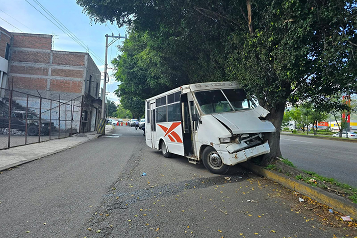 Camión particular choca contra árbol frente a la Macroplaza Estadio de Morelia