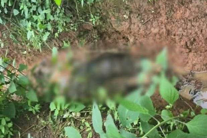 Hallan cráneo humano y cadáver en descomposición en un paraje de Tacámbaro