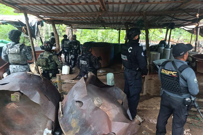 Desmantelan laboratorios clandestinos y decomisan químicos en Guerrero