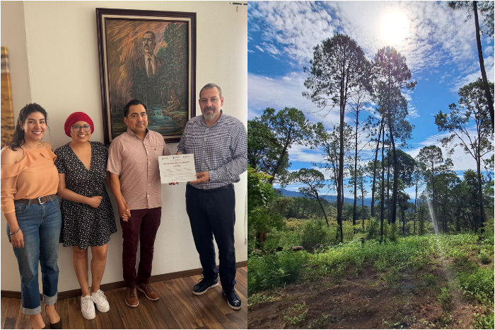 Área Voluntaria para la Conservación en Tancítaro, Michoacán