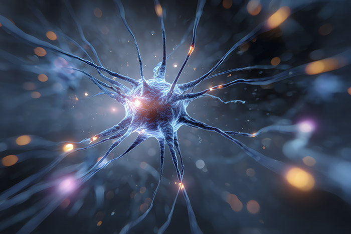 Representación gráfica de redes neuronales y conexiones sinápticas en el cerebro humano.