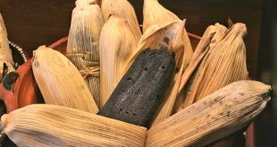Platillos tradicionales de tamales y atole preparados por cocineras locales en Michoacán.