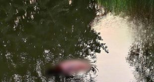 hallan cuerpo taretan michoacan