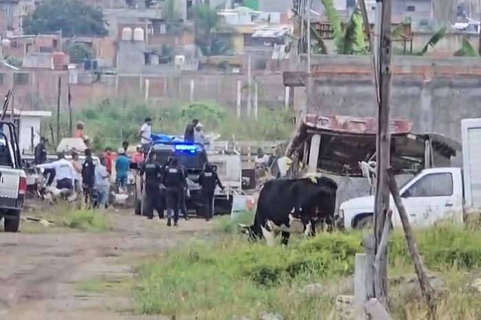 rabajadores de la construccion lesionados morelia
