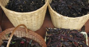 Gastronomía tradicional de México y chiles en nogada