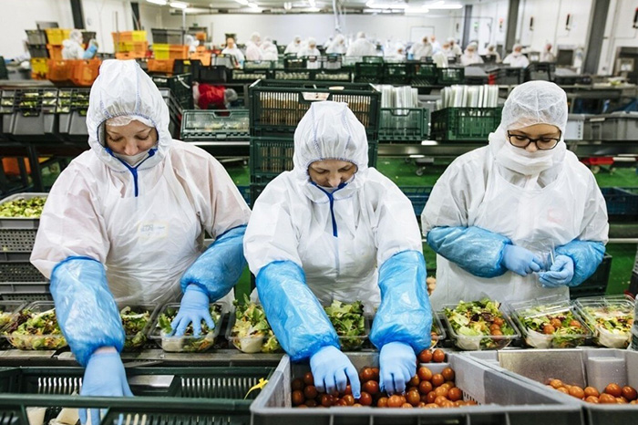 Empresas mexicanas exploran oportunidades de exportación agroalimentaria en Francia y la Unión Europea.