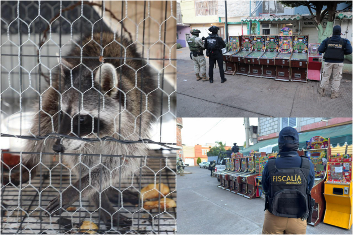 FGE realiza cateos en Morelia y Los Reyes y asegura máquinas tragamonedas