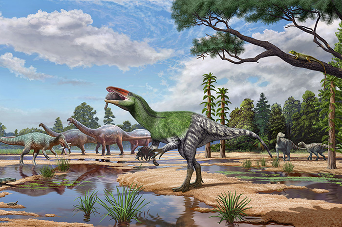 Reconstrucción artística de Invictibellatrix amberina, una especie de dinosaurio megaraptorano identificada a partir de un fósil craneal.