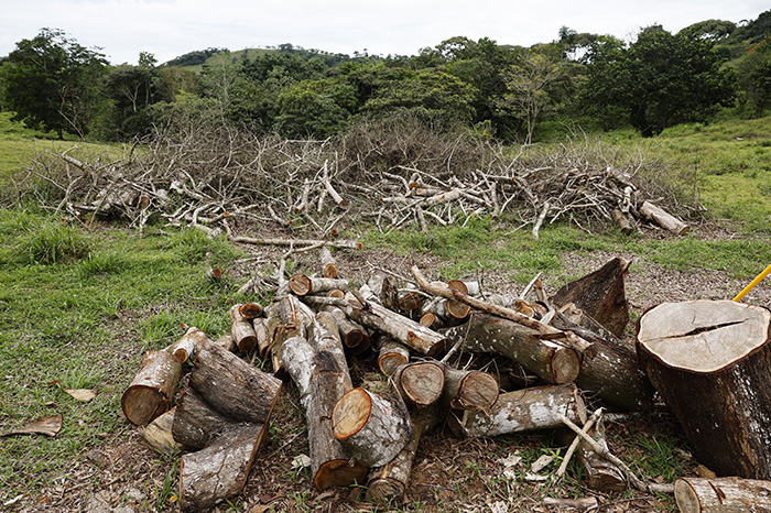 Latinoamérica busca impulsar la agricultura y frenar la deforestación