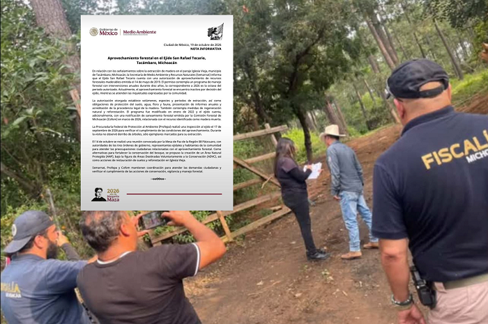 ejido san rafael tecario tacambaro
